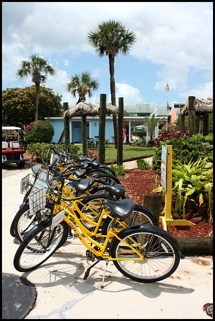 Bicycles, bike rental, Fishermen's Market, Punta Gorda, Florida, SW Florida
