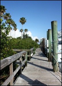 Boardwalk, waterfront, Margaret Albritton Gallery, Placida, Florida, travel, art, SW Florida, Charlotte Harbor & the Gulf Islands, Florida, travel, photography, TS76, outdoors