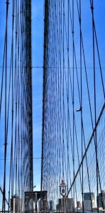 Bridge, Brooklyn Bridge, NYC, structure, suspended bridge, travel, photography, TS76
