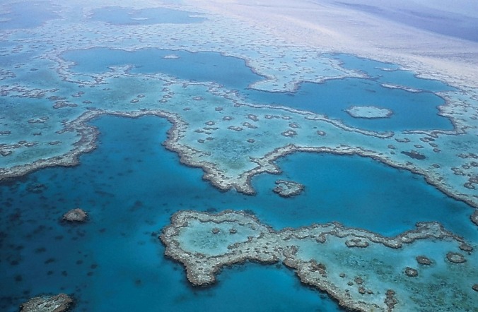 Aerial view of the Great Barrier Reef in Queensland, Australia.